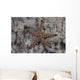 Close-up Sea Star Beqa Light Wall Decal