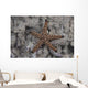 Close-up Sea Star Beqa Light Wall Decal