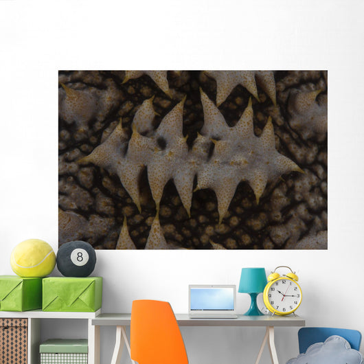 Close-up Pattern Giant Sea Wall Decal