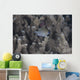 Small Ambon Chromis Swimming Wall Decal