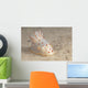 Gymnodoris Ceylonica Nudibranch Beqa Front Wall Decal