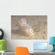 Gymnodoris Ceylonica Nudibranch Beqa Front Wall Decal