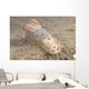 Gymnodoris Ceylonica Nudibranch Beqa Top Wall Decal