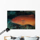 Spotted Grouper Beqa Lagoon Wall Decal