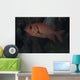 Bigscale Soldierfish Fiji Wall Decal