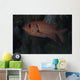 Bigscale Soldierfish Fiji Wall Decal