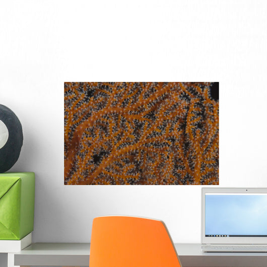 Close-up Gorgonian Sea Fan Wall Decal