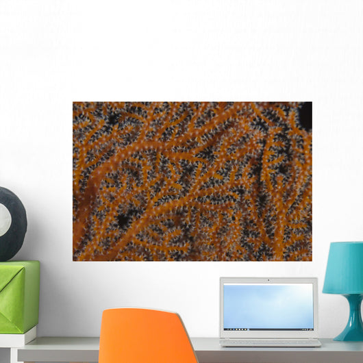 Close-up Gorgonian Sea Fan Wall Decal