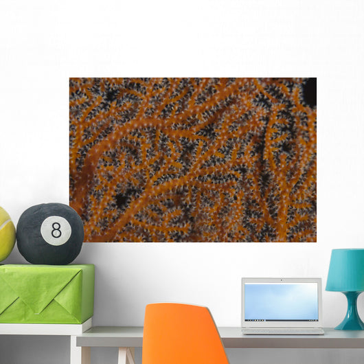 Close-up Gorgonian Sea Fan Wall Decal