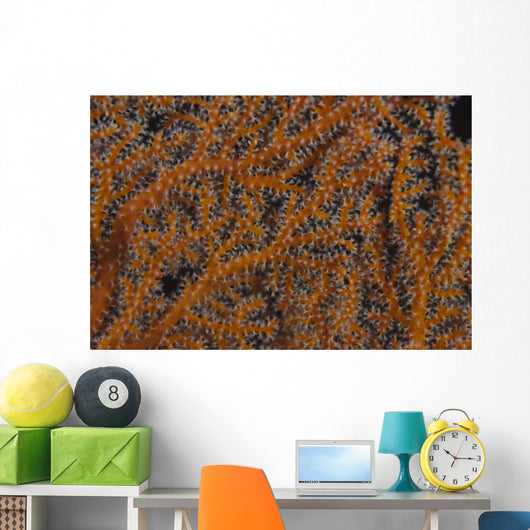 Close-up Gorgonian Sea Fan Wall Decal