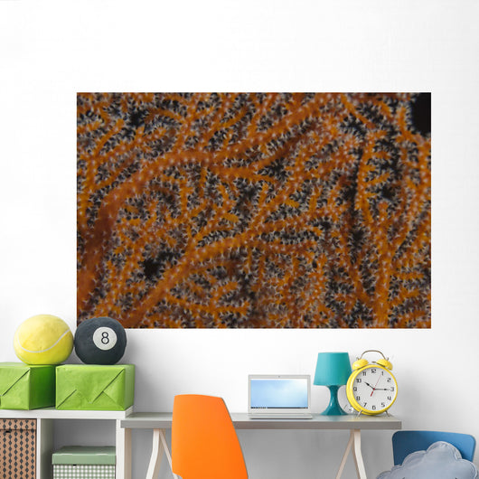 Close-up Gorgonian Sea Fan Wall Decal