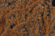Close-up Gorgonian Sea Fan Wall Decal