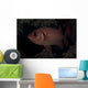 Bigscale Soldierfish Flared Fins Fiji Wall Decal