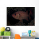 Bigscale Soldierfish Flared Fins Fiji Wall Decal