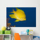Golden Damselfish Right Side Fiji Wall Decal