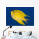 Golden Damselfish Left Side Fiji Wall Decal
