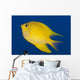 Golden Damselfish Left Side Fiji Wall Decal