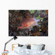 Tailspot Squirrelfish Swimming Fiji Wall Decal