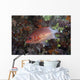 Tailspot Squirrelfish Swimming Fiji Wall Decal