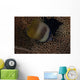 Klein's Butterflyfish Swimming Fiji Wall Decal