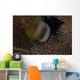 Klein's Butterflyfish Swimming Fiji Wall Decal