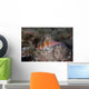 Dwarf Hawkfish Fiji Wall Decal