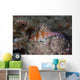 Dwarf Hawkfish Fiji Wall Decal