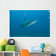 Large Bull Shark Bistro Wall Decal