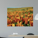 Californian Poppies Wall Decal