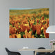 Californian Poppies Wall Decal