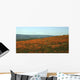 Californian Poppy Field Wall Decal