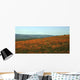 Californian Poppy Field Wall Decal