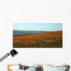 Californian Poppy Field Wall Decal