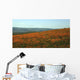 Californian Poppy Field Wall Decal