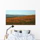 Californian Poppy Field Wall Decal
