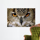Eagle Owl Wall Decal