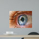 Eye Window Reflection Wall Decal