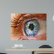 Eye Window Reflection Wall Decal