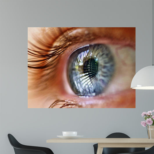 Eye Window Reflection Wall Decal