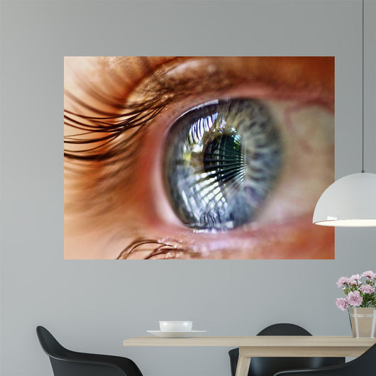 Eye Window Reflection Wall Decal