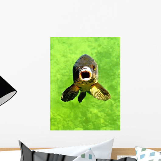 Fish Wall Decal