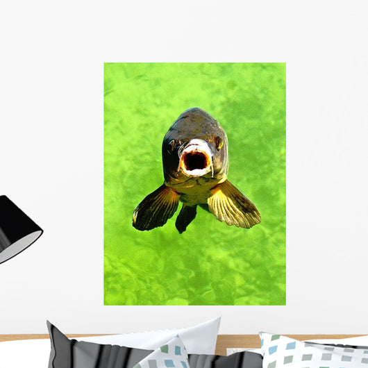 Fish Wall Decal