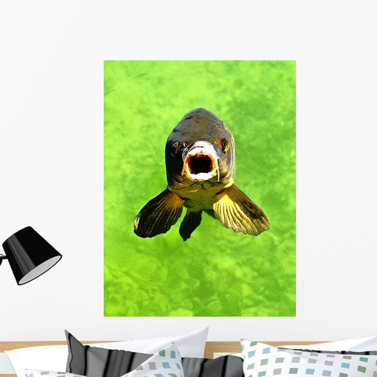 Fish Wall Decal
