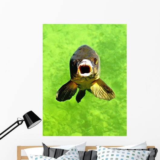 Fish Wall Decal