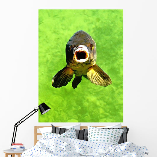 Fish Wall Decal
