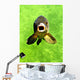Fish Wall Decal