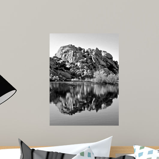 Joshua Tree Lake Bw Wall Decal