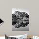 Joshua Tree Lake Bw Wall Decal