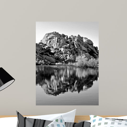 Joshua Tree Lake Bw Wall Decal