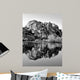 Joshua Tree Lake Bw Wall Decal